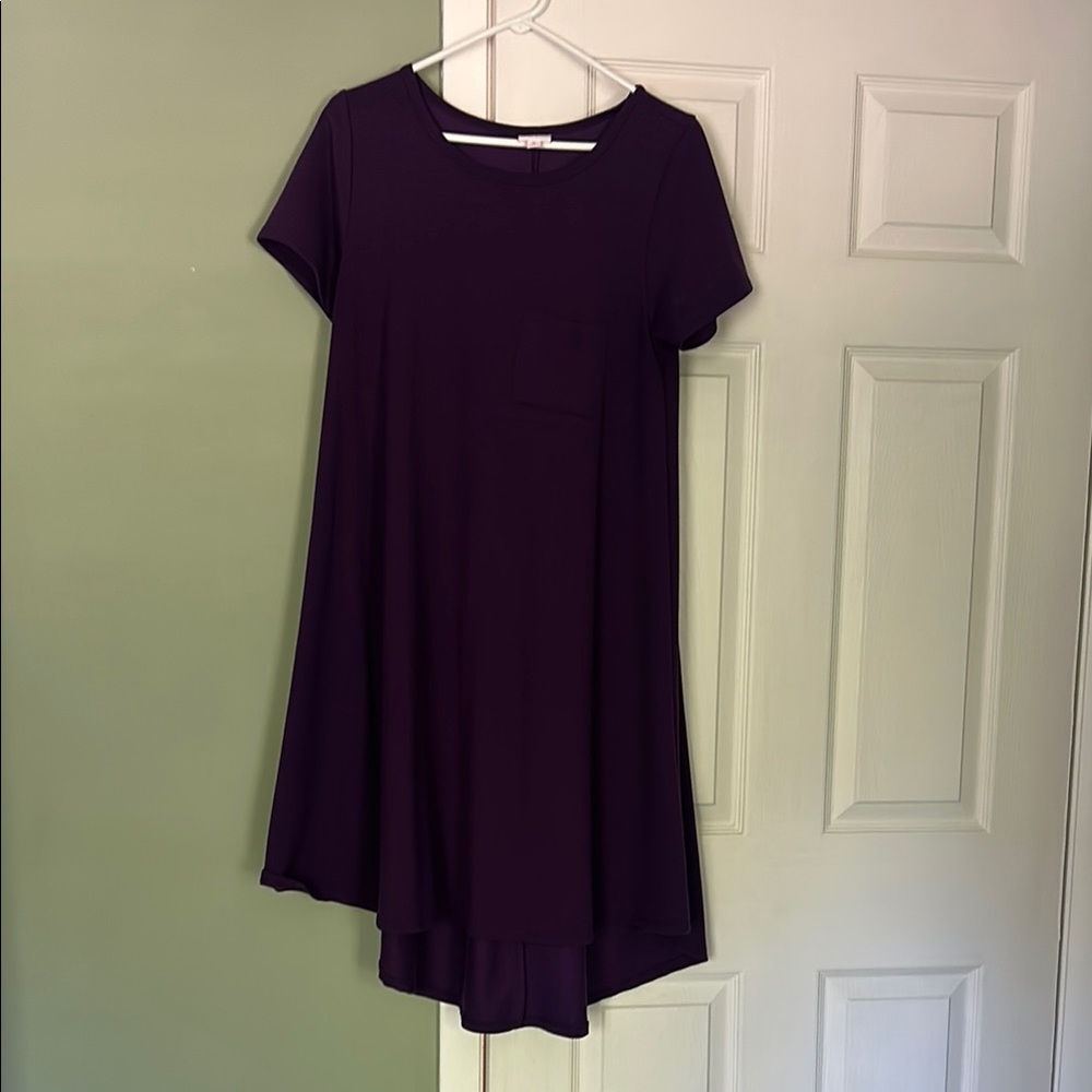 LulaRoe Purple Women’s Dress
